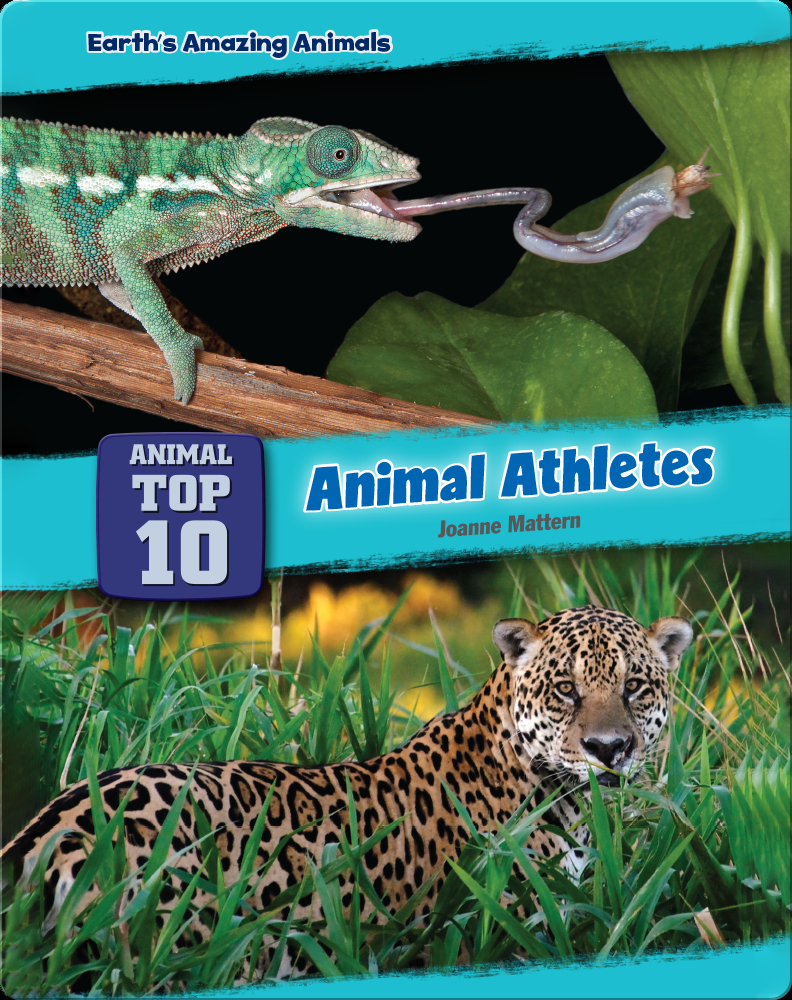 Top Ten Animal Athletes Book by Joanne Mattern | Epic