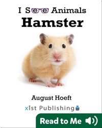 I See Animals: Hamster