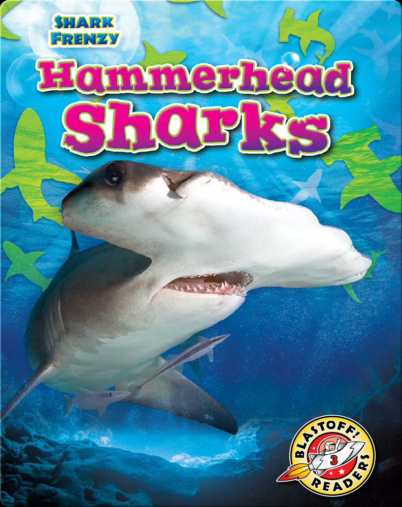 Shark Frenzy: Hammerhead Sharks Book by Rebecca Pettiford | Epic