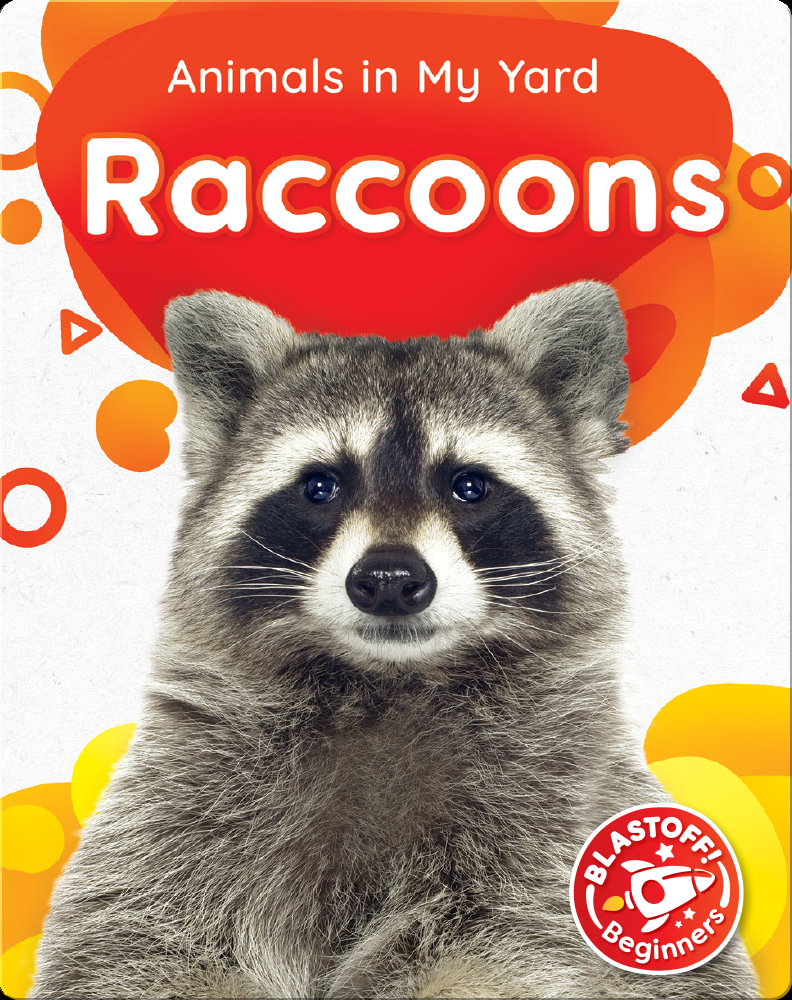 Animals in My Yard: Raccoons Book by Amy McDonald | Epic