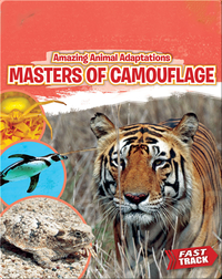 Amazing Animal Adaptations: Masters of Camouflage