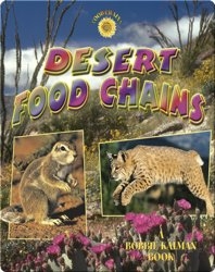 Desert Food Chains