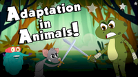 The Dr. Binocs Show: Adaptation In Animals