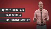 Why Does Rain Have a Distinctive Smell?