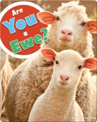 Are You A Ewe?