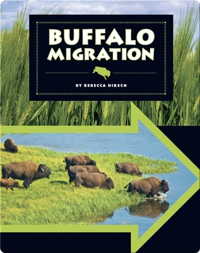 Buffalo Migration
