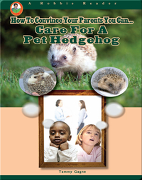 Care for a Pet Hedgehog