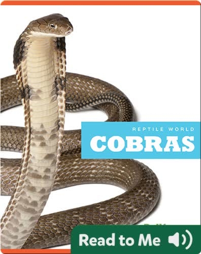 Reptile World: Cobras