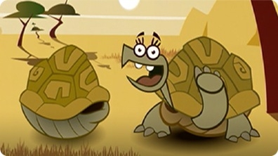 I'm a Turtle