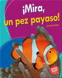 ¡Mira, un pez payaso! (Look, a Clown Fish!)