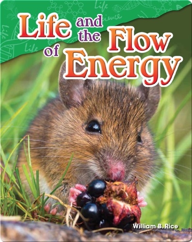Life and the Flow of Energy