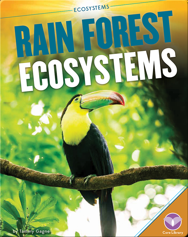 Rain Forest Ecosystems