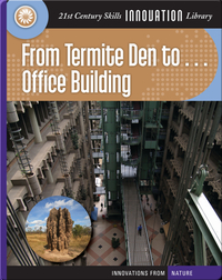 From Termite Den to Office Building