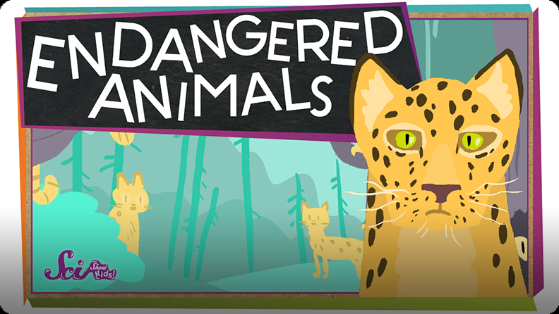 SciShow Kids: Endangered Animals! Video | Discover Fun and Educational  Videos That Kids Love | Epic Children's Books, Audiobooks, Videos & More