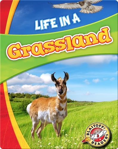 Biomes Alive!: Life in a Grassland