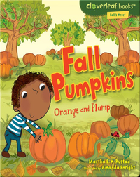 Fall Pumpkins: Orange and Plump