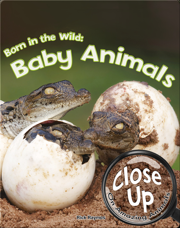 Born in the Wild: Baby Animals