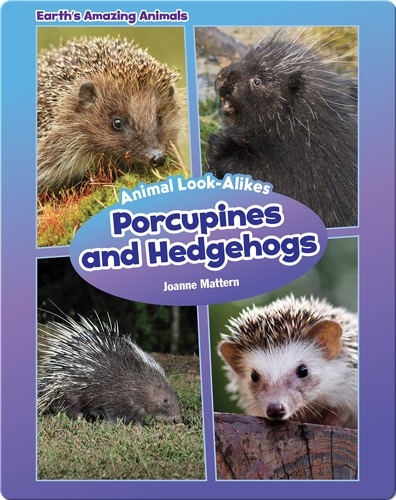 Porcupines and Hedgehogs