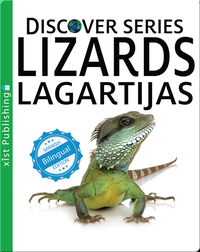 Lizards / Lagartijas
