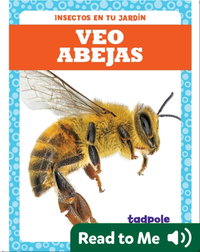 Veo abejas (I See Bees)