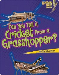 Can you Tell a Cricket from a Grasshopper?