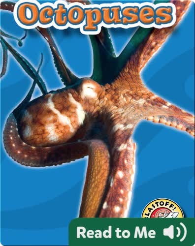 Octopuses: Oceans Alive