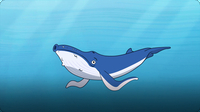 I’m A Blue Whale