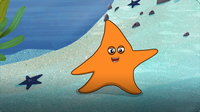 I’m A Starfish