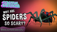 Why Are Spiders So Scary? | COLOSSAL QUESTIONS