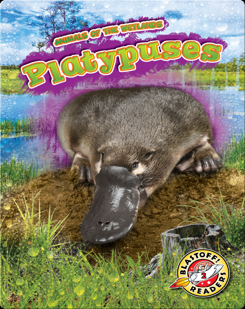 Animals of the Wetlands: Platypuses Book by Karen Latchana Kenney | Epic