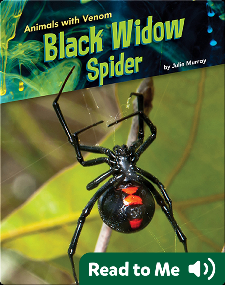 Animals with Venom Black Widow Spider Book by Julie Murray Epic