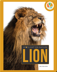 Spotlight on Nature: Lion