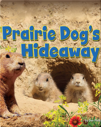 Prairie Dog’s Hideaway