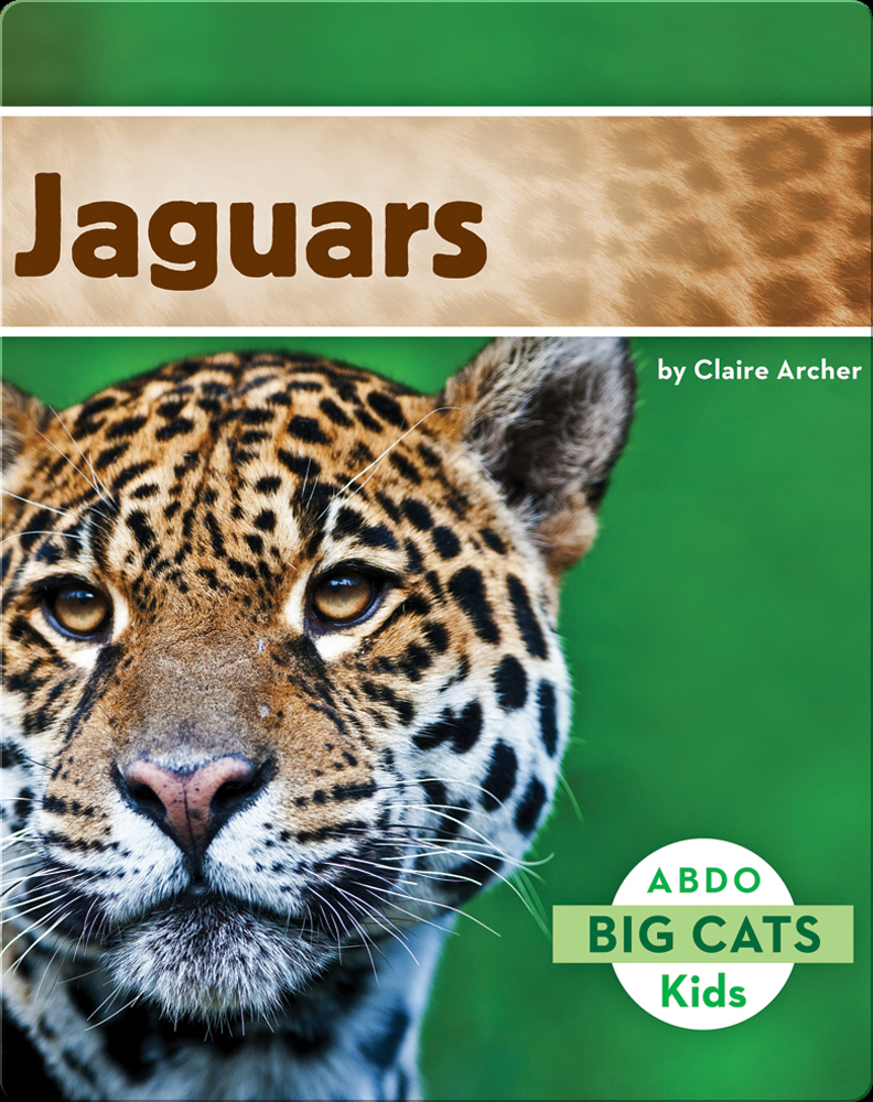 Big Cats: Jaguars Book by Claire Archer | Epic