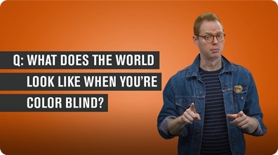 What Does the World Look Like When You're Colorblind?