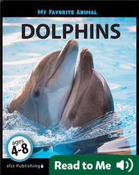 My Favorite Animal: Dolphins