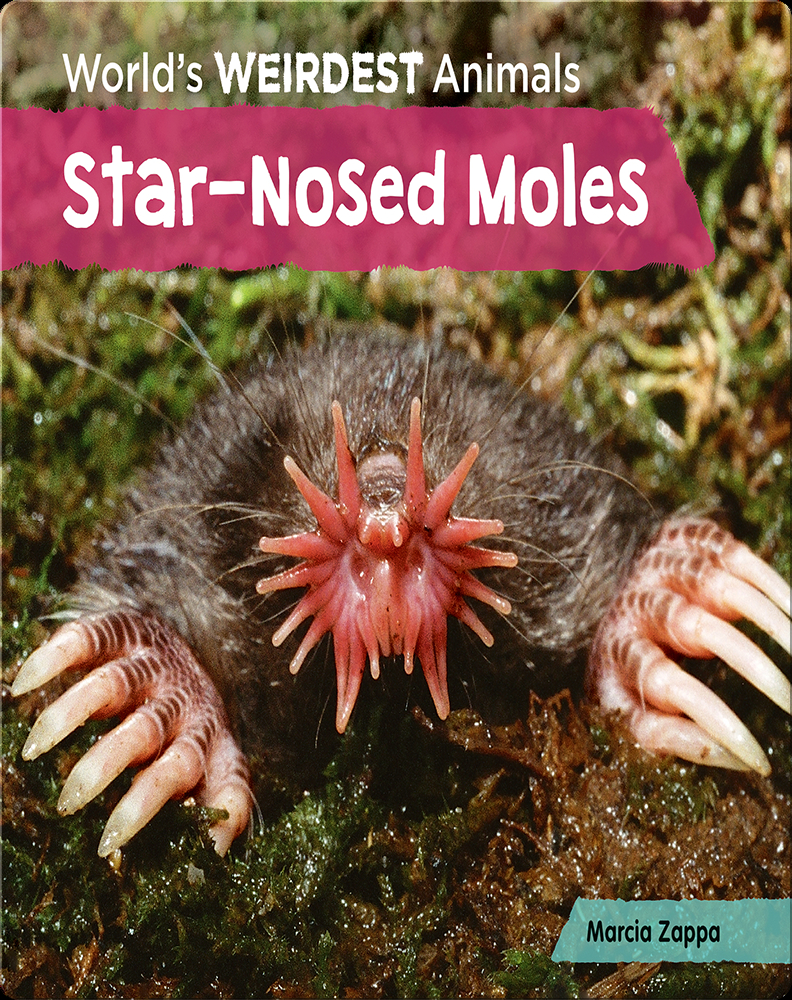 Star-Nosed Moles Book by Marcia Zappa | Epic