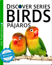 Pájaros/ Birds
