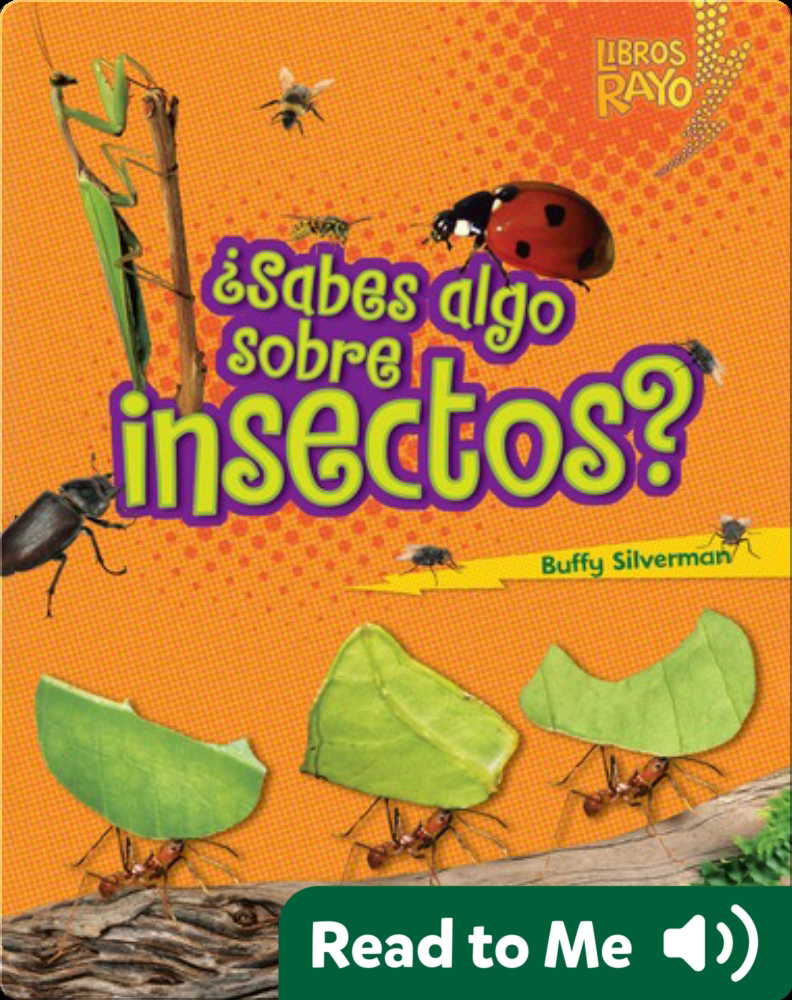 ¿Sabes algo sobre insectos? (Do You Know about Insects?) Book by Buffy ...