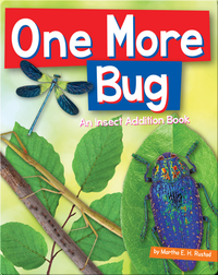 One More Bug: An Insect Addition Book