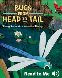 Bugs from Head to Tail