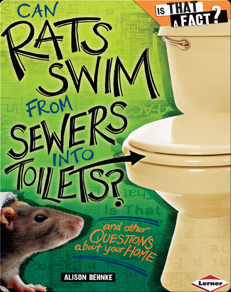 sewer rats in toilet