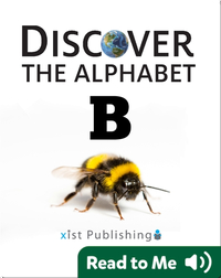 Discover The Alphabet: B