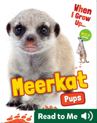 When I Grow Up: Meerkat Pups