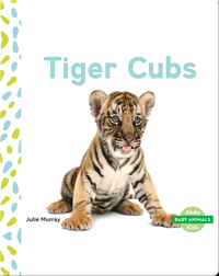 Baby Animals: Tiger Clubs