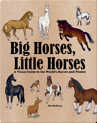 Big Horses, Little Horses: A Visual Guide to the World's Horses and Ponies
