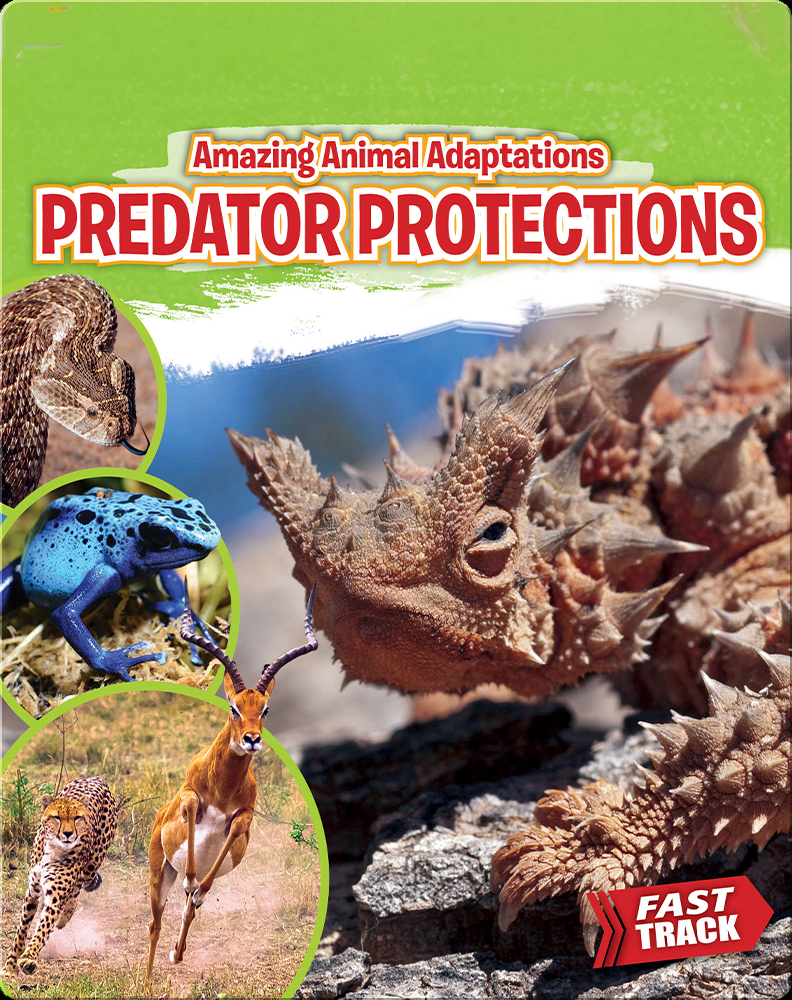 Amazing Animal Adaptations: Predator Protections Book by Nancy Dickmann |  Epic