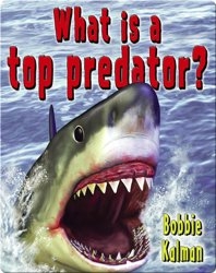 What is a Top Predator?