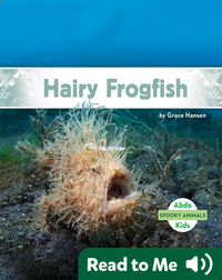 Spooky Animals: Hairy Frogfish