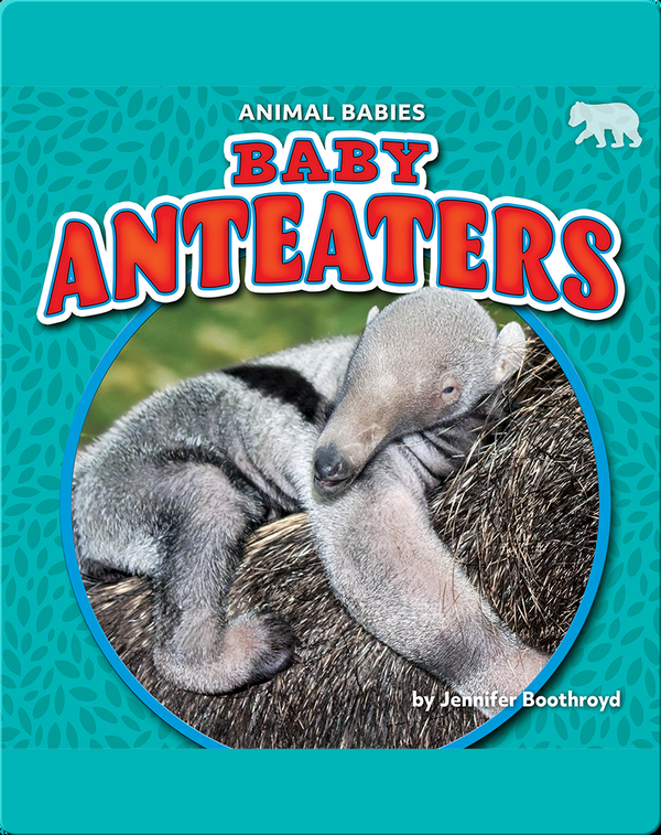 Animal Babies: Baby Anteaters
